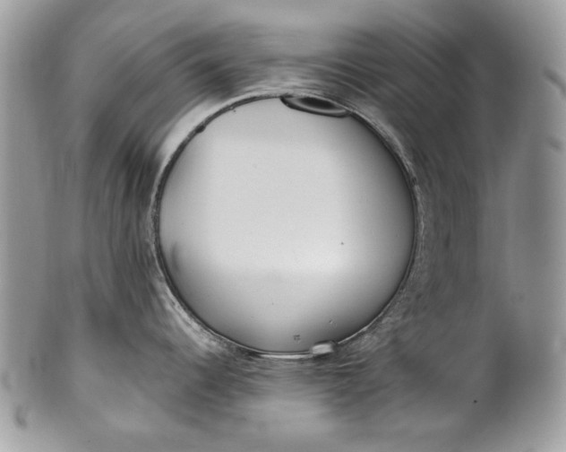 X0000100861344200807070924