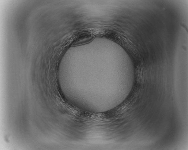 X0000100861345200807070923