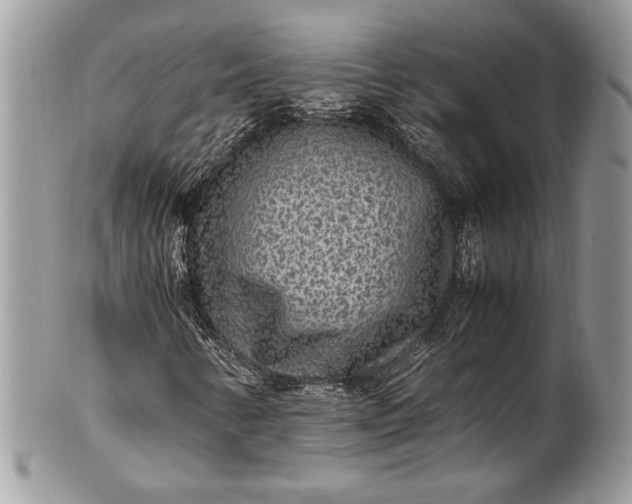 X0000100861346200807070923