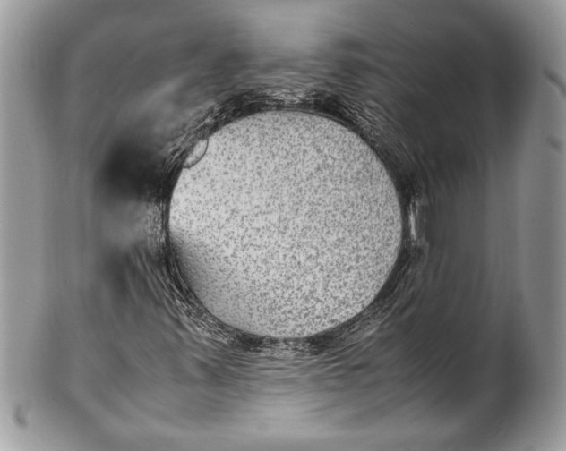 X0000100861347200807070923