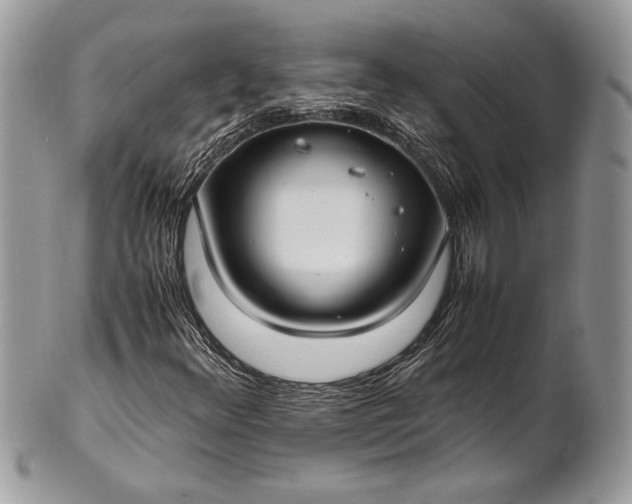 X0000100861348200807070923