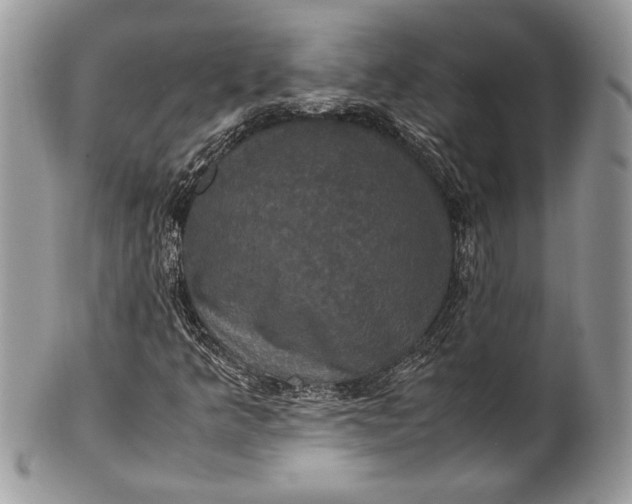 X0000100861349200807070923