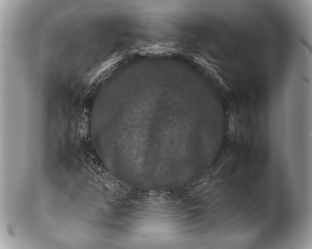 X0000100861350200807070923