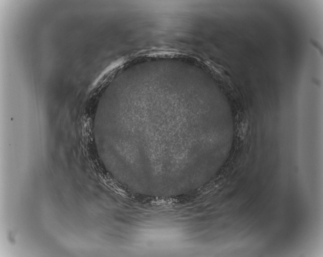 X0000100861351200807070923