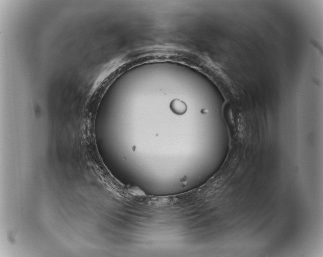 X0000100861352200807070923