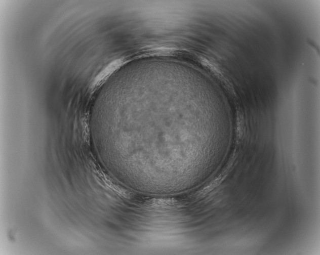 X0000100861354200807070923