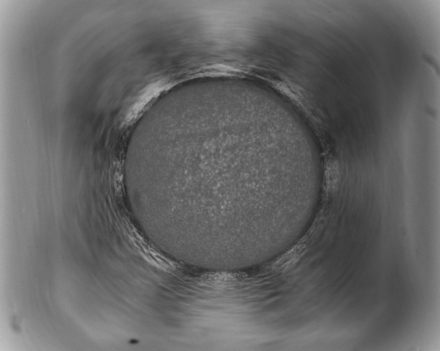 X0000100861355200807070923