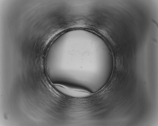 X0000100861356200807070923