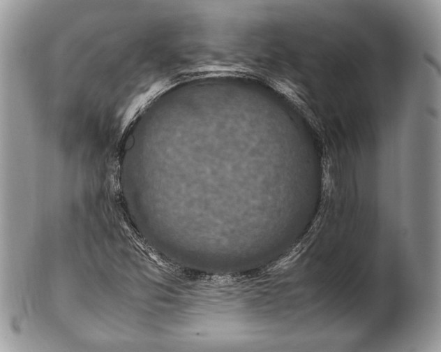 X0000100861357200807070923