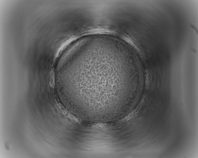 X0000100861358200807070923