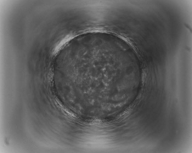 X0000100861359200807070923