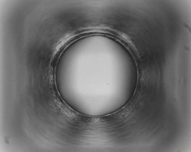 X0000100861360200807070923