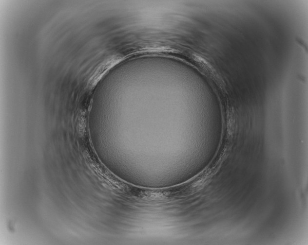 X0000100861361200807070923