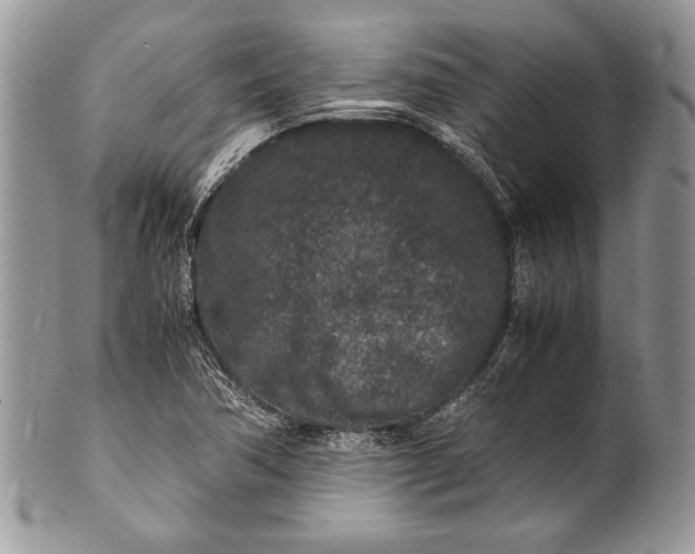 X0000100861362200807070923