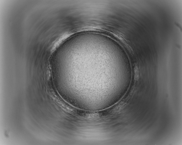 X0000100861363200807070923