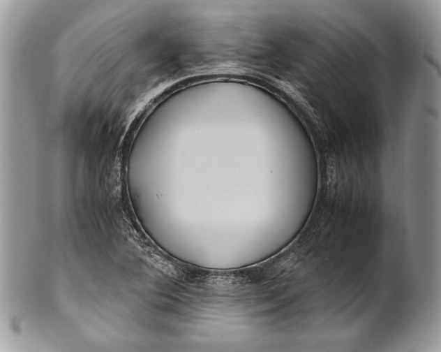 X0000100861364200807070923