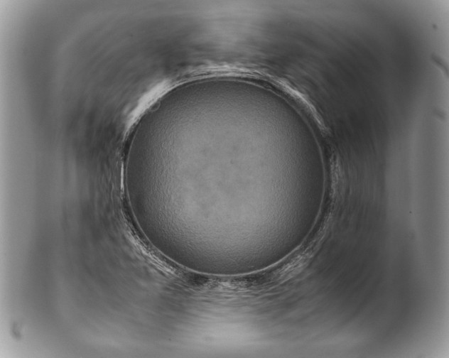 X0000100861365200807070923