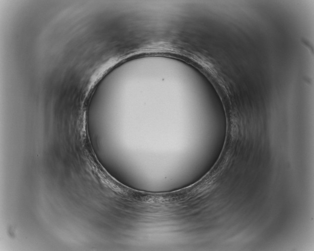 X0000100861366200807070923