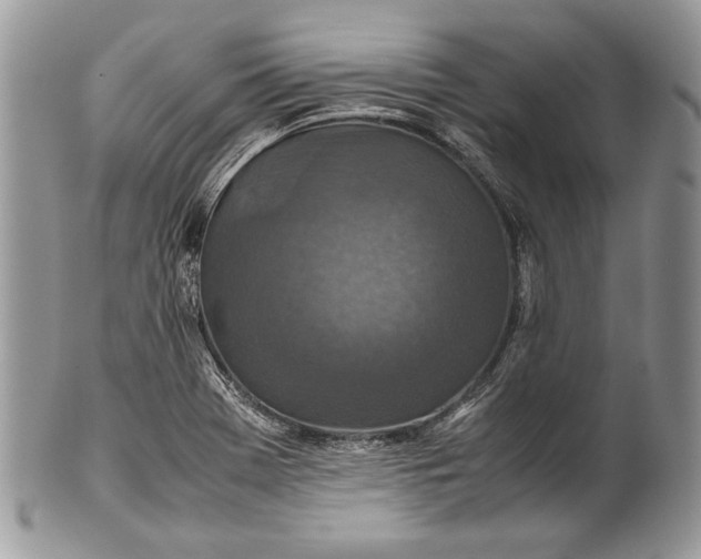 X0000100861369200807070923