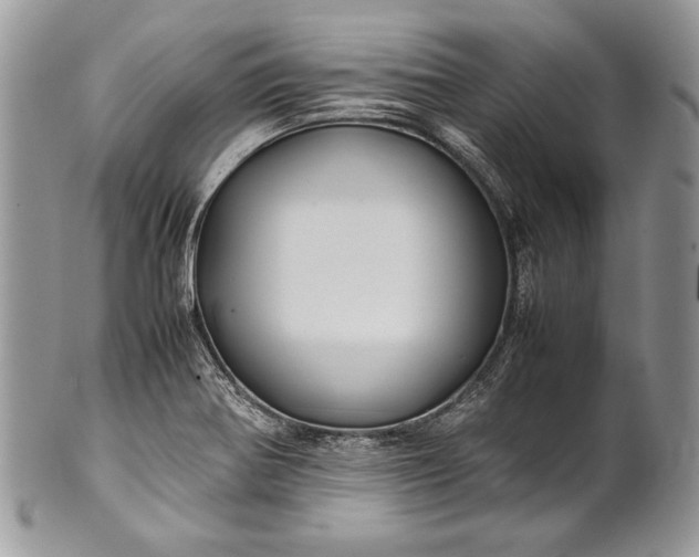 X0000100861370200807070923