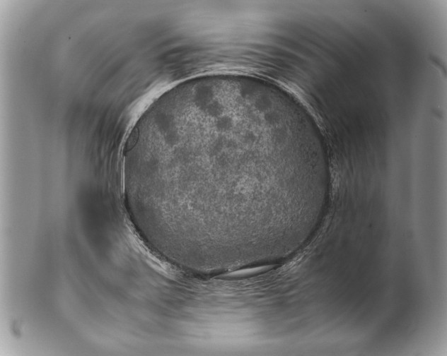 X0000100861371200807070923