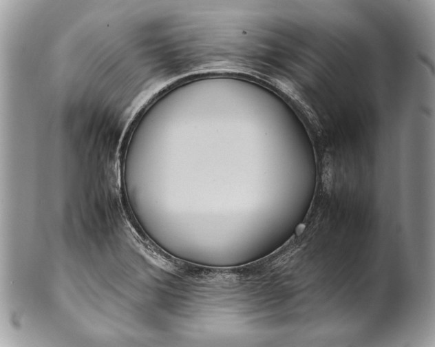 X0000100861372200807070923