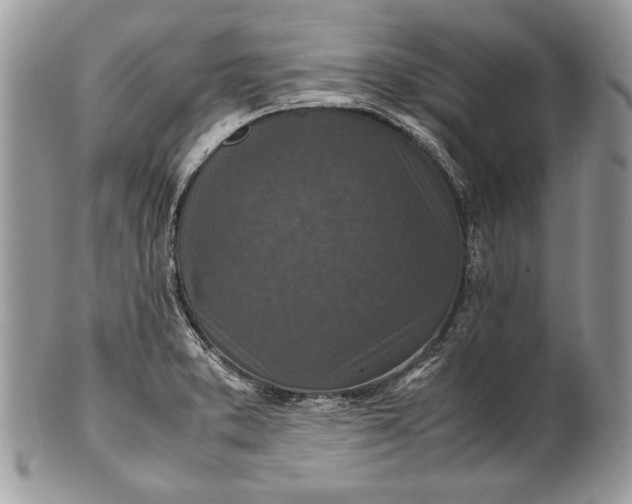 X0000100861373200807070923