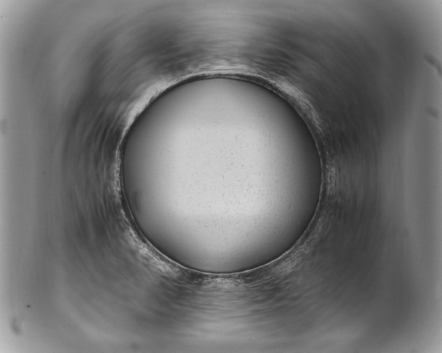 X0000100861374200807070923