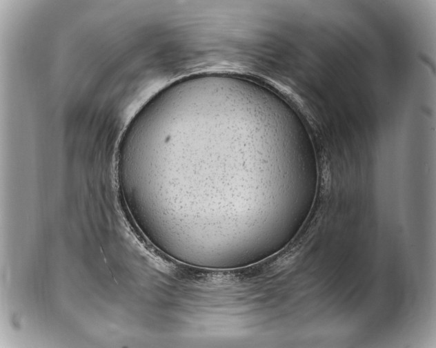 X0000100861375200807070923