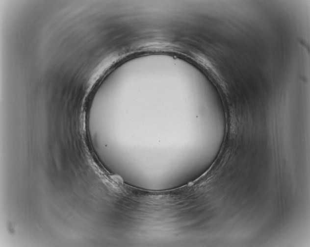 X0000100861376200807070923