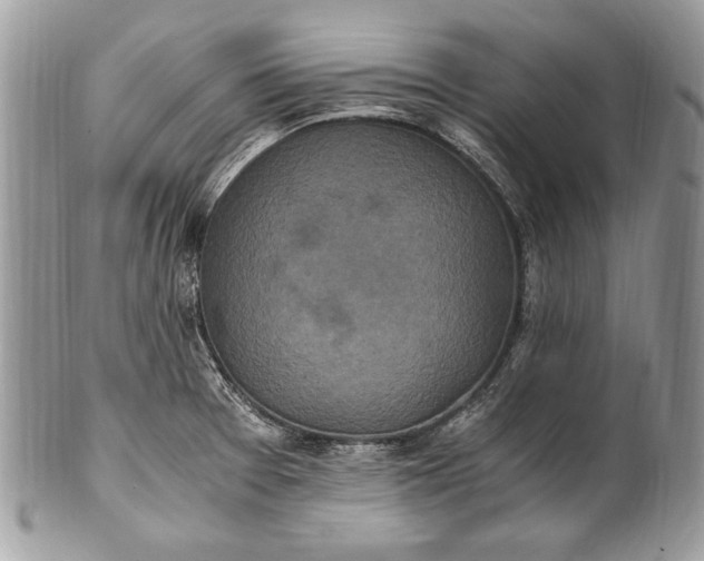 X0000100861377200807070923