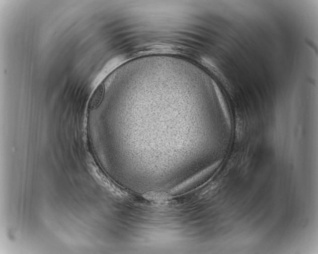 X0000100861378200807070923