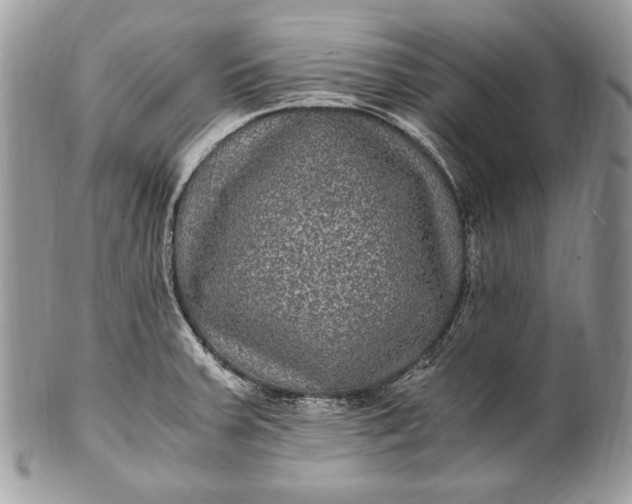 X0000100861379200807070923