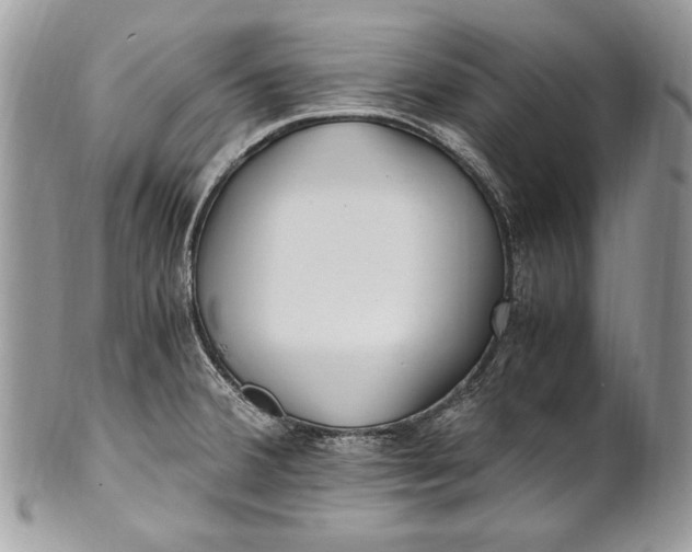 X0000100861380200807070923