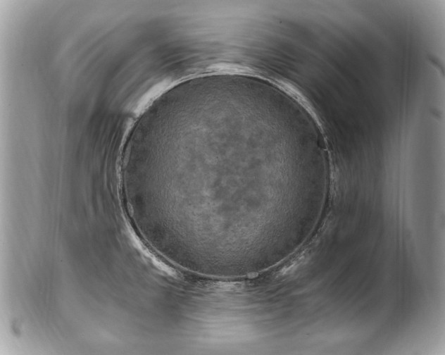 X0000100861381200807070923