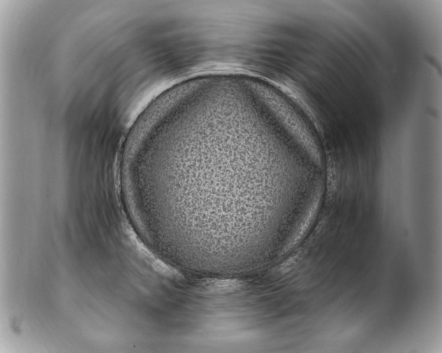 X0000100861382200807070923