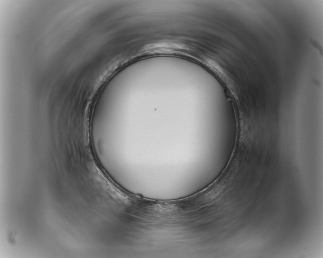 X0000100861384200807070923