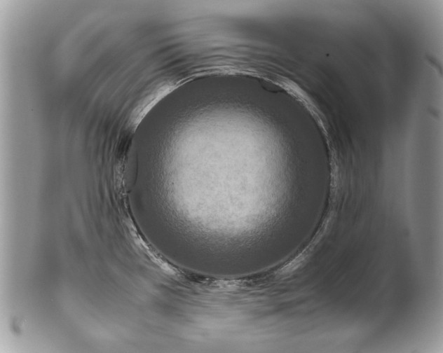 X0000100861385200807070923