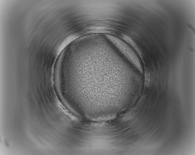 X0000100861386200807070923