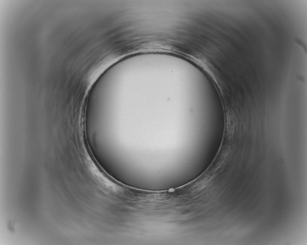 X0000100861387200807070923