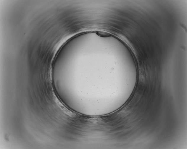 X0000100861388200807070922