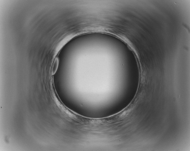 X0000100861389200807070922