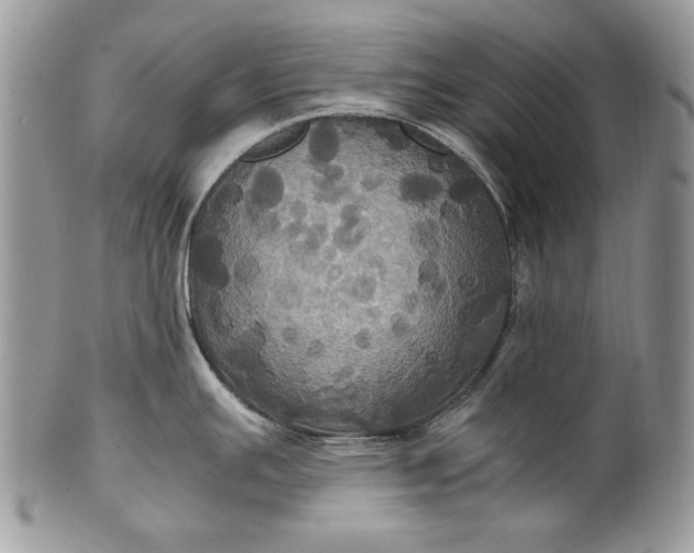 X0000100861391200807070922