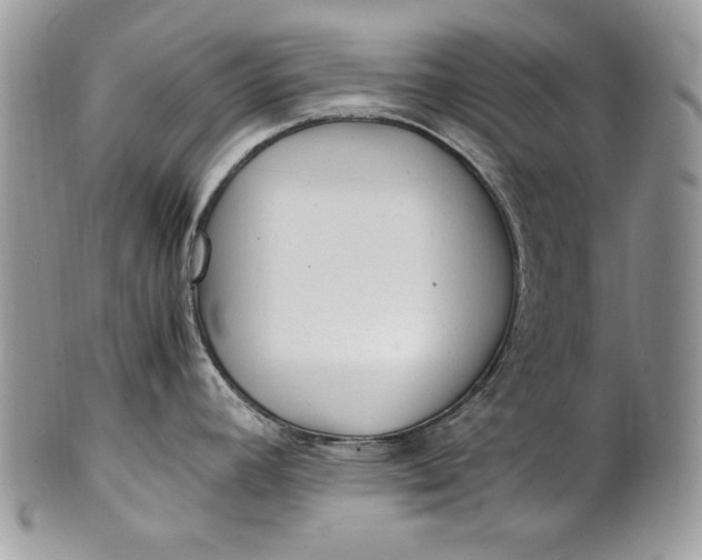 X0000100861392200807070922