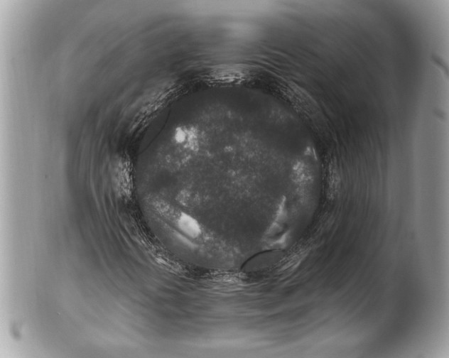 X0000100861394200807070922