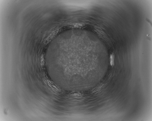 X0000100861395200807070922