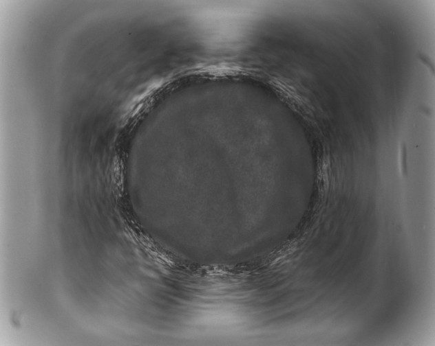 X0000100861398200807070922