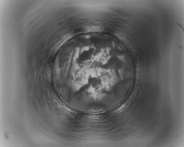 X0000100861401200807070922