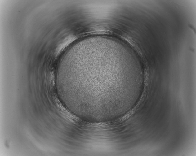 X0000100861402200807070922