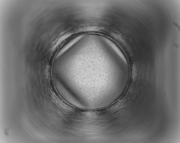 X0000100861404200807070922